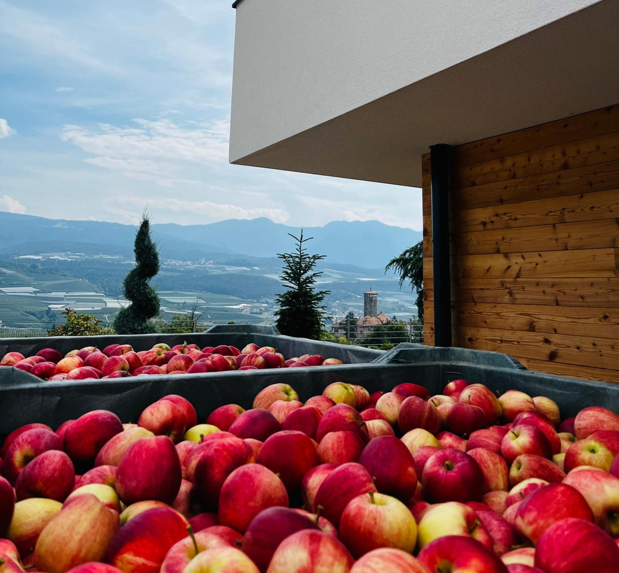 Maso Valer - Agritur Apartment Tassullo ภายนอก รูปภาพ