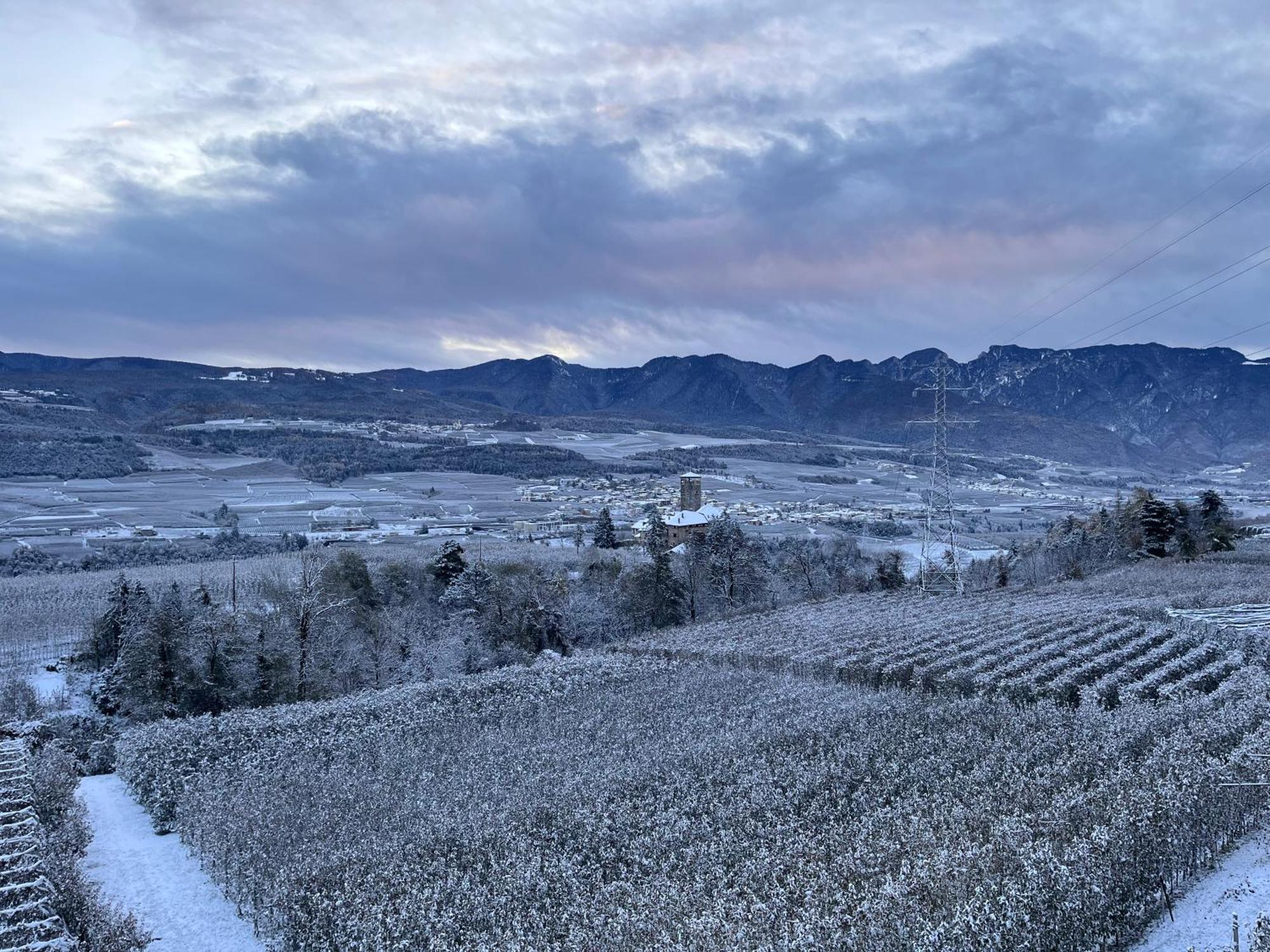 Maso Valer - Agritur Apartment Tassullo ภายนอก รูปภาพ